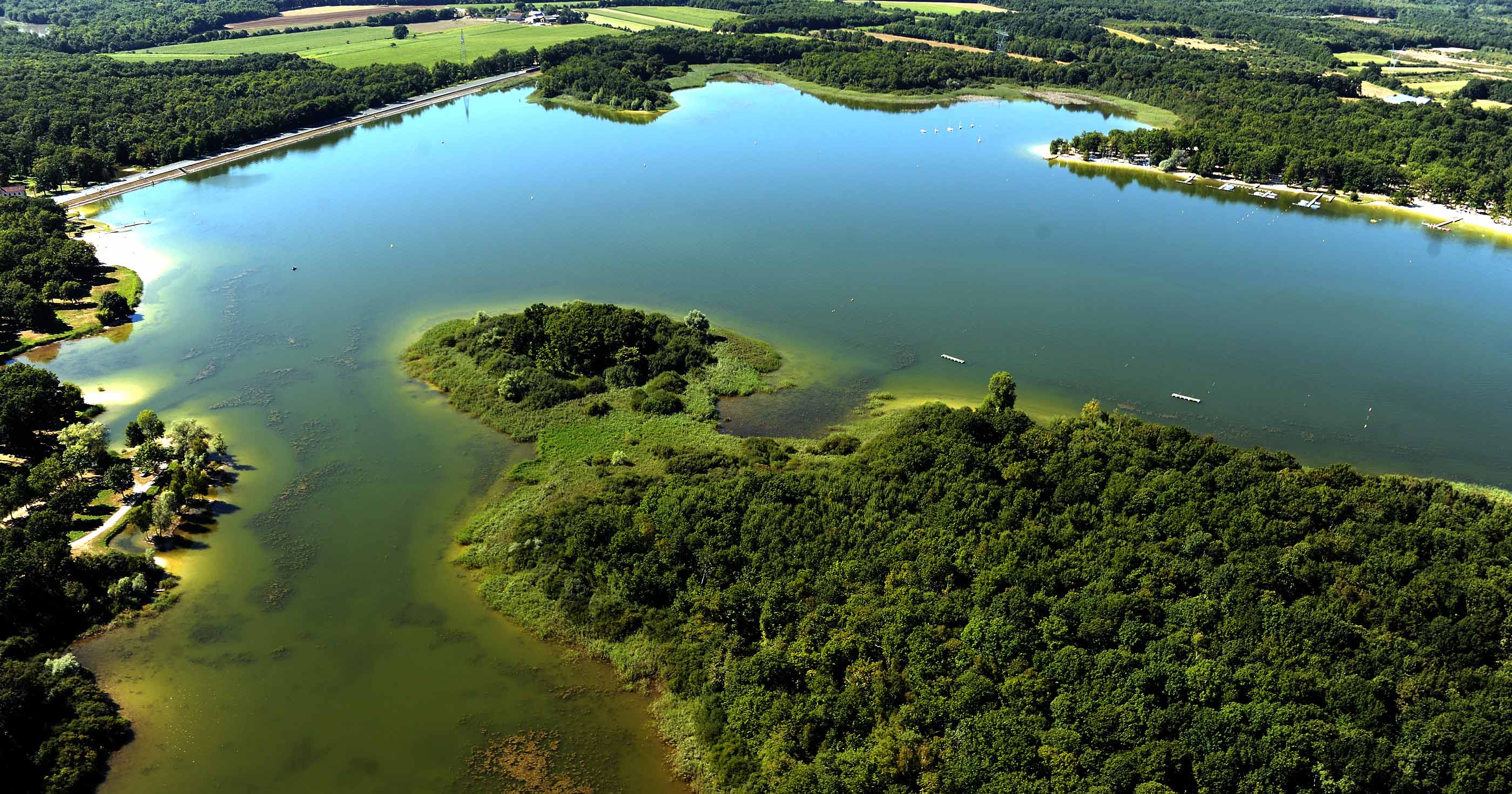 l'ENS de l'étang du Puits à Cerdon : 121 espèces d'oiseaux à observer |  Conseil départemental du Loiret