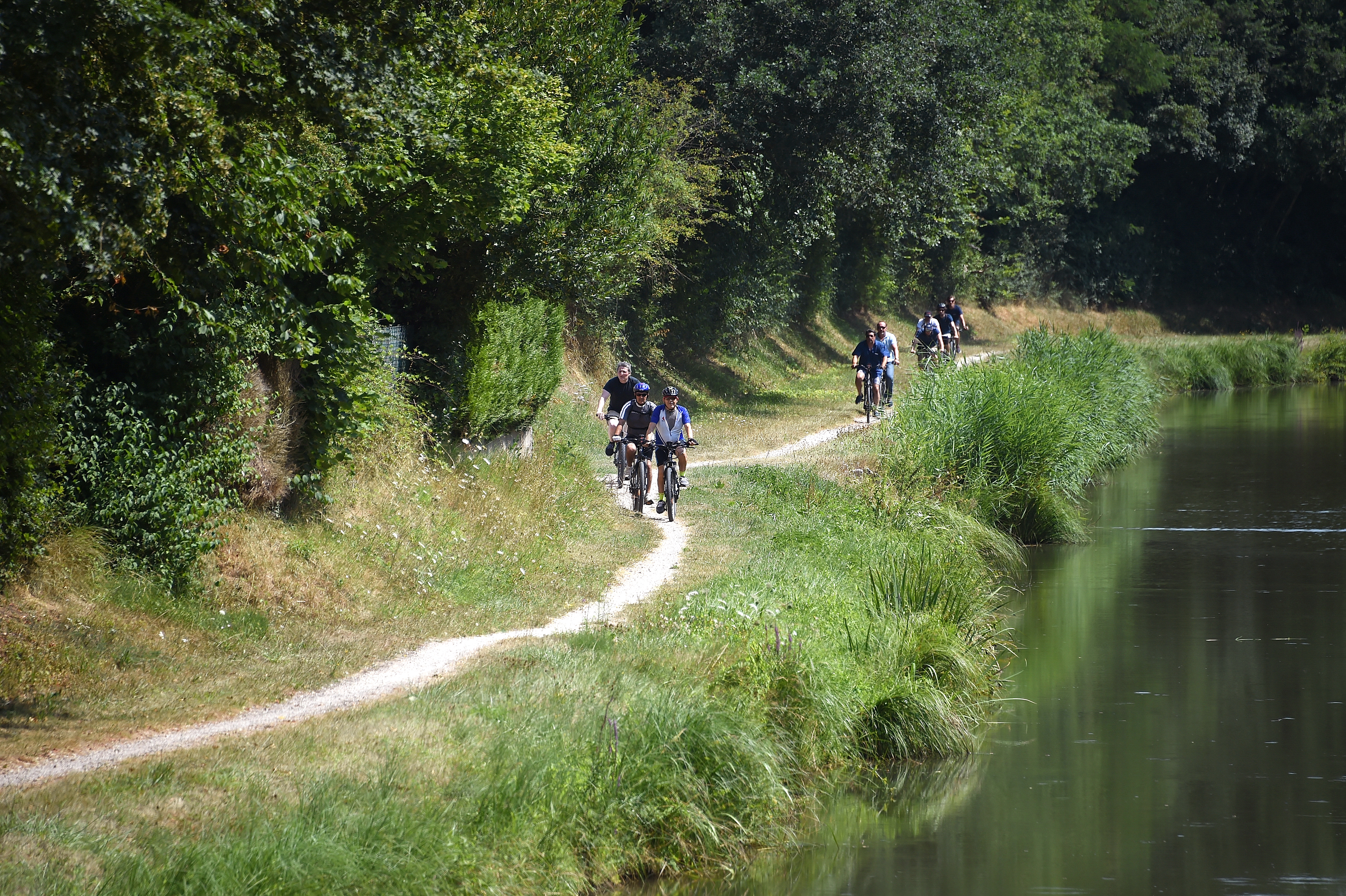 Canal d'Orléans : 70 km de véloroutes pour profiter du printemps | Conseil  départemental du Loiret