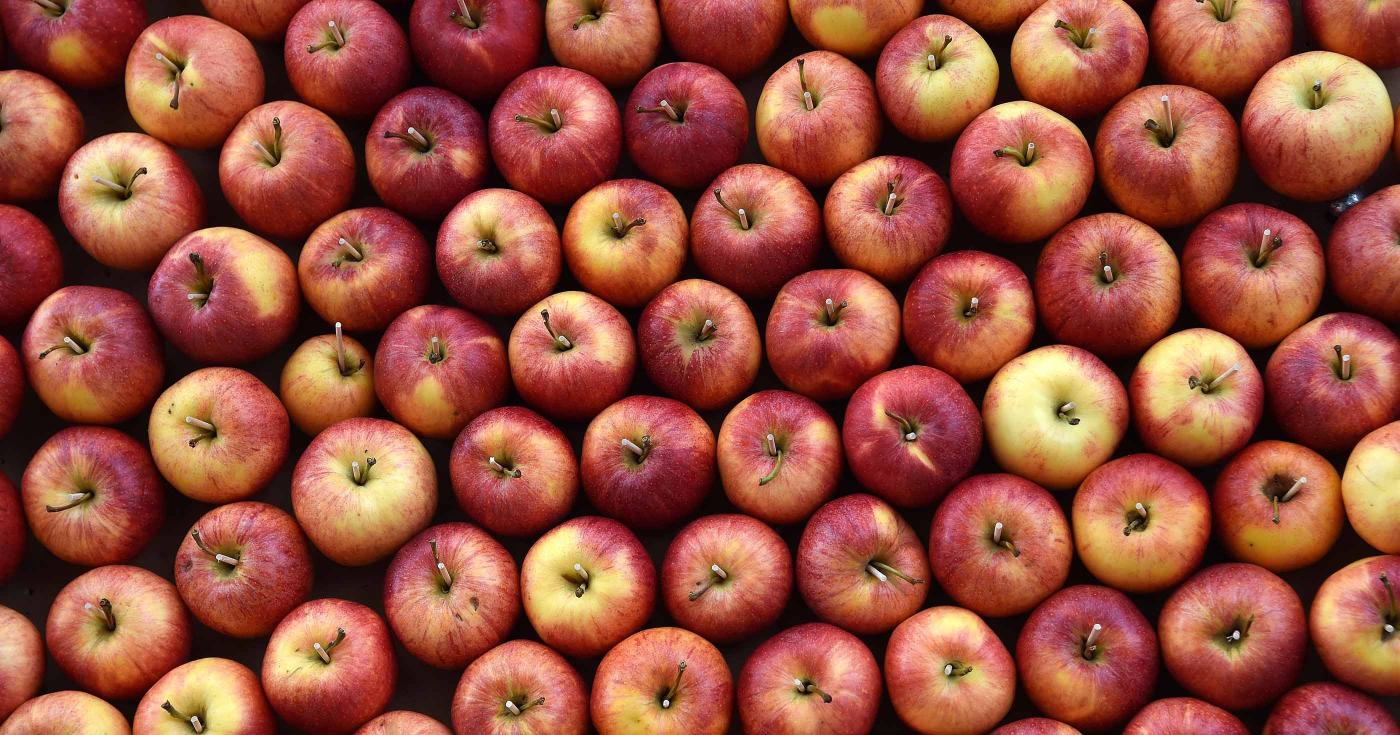 À Gien faites le plein de vitamines au marché des producteurs locaux - pommes